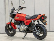 Honda Monkey 125 Bol Dor 12