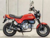Honda Monkey 125 Bol Dor 13