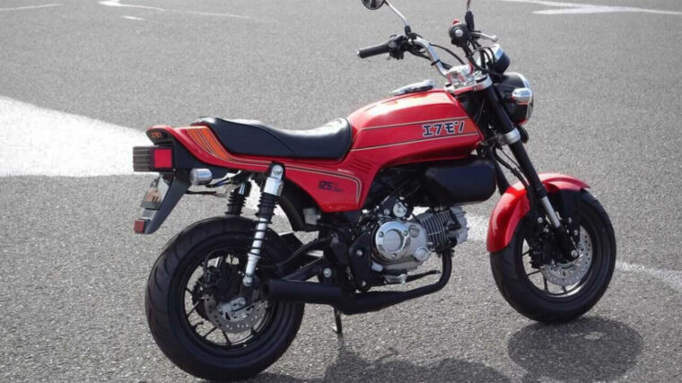 Honda-Monkey-125-Bol-Dor-5