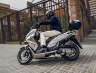 QJ MTX 125 2024 accion17