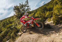 Beta RR X Pro 300 2025 accion2