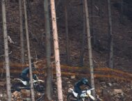 Husqvarna FE 350 TE 125 2025 8