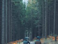 Husqvarna FE 350 TE 300 2025 1