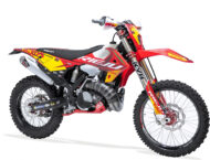 Rieju MR 300 6Days Spain 2025