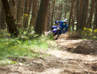 Sherco enduro Factory 2T 2025 accion11