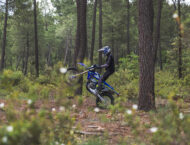 Sherco enduro Factory 4T 2025 accion59