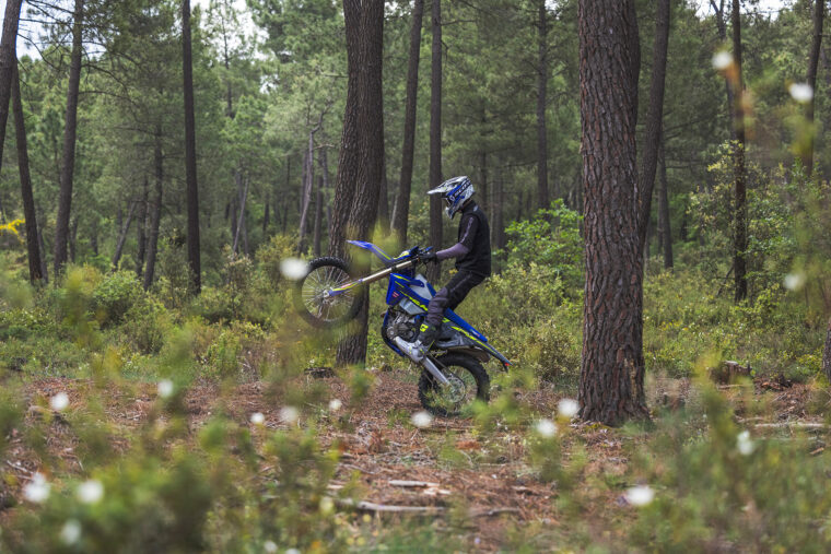 Sherco-enduro-Factory-4T-2025-accion59