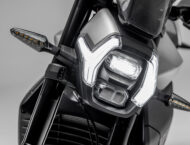 Can Am Pulse 73 2025 detalles4