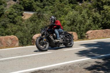 benda chinchilla 500 2024 2