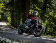 benda chinchilla 500 20244