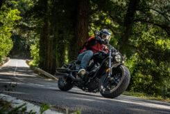 benda chinchilla 500 20244