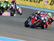 galeria fim ewc bol dor 2024 (2)