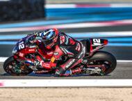 galeria fim ewc bol dor 2024 (24)