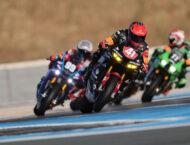 galeria fim ewc bol dor 2024 (3)