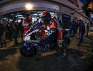 galeria fim ewc bol dor 2024 (4)