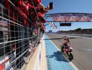 galeria fim ewc bol dor 2024 (6)