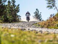 Prueba off road Honda Transalp SP 2024: Transaldventure 23 honda xl750 transalp sp 2024 16