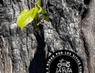 la ruta + fea triumph5