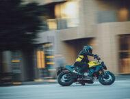 Husqvarna Vitpilen 801 2025 accion12