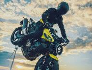 Husqvarna Vitpilen 801 2025 accion8