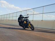 Triumph Trident 660 2025 64 Triumph Trident 660 2025 accion 10