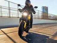 Triumph Trident 660 2025 63 Triumph Trident 660 2025 accion 11