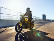 Triumph Trident 660 2025 62 Triumph Trident 660 2025 accion 12