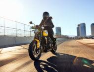 Triumph Trident 660 2025 61 Triumph Trident 660 2025 accion 13