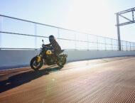 Triumph Trident 660 2025 56 Triumph Trident 660 2025 accion 18