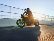 Triumph Trident 660 2025 53 Triumph Trident 660 2025 accion 21