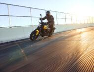 Triumph Trident 660 2025 52 Triumph Trident 660 2025 accion 22