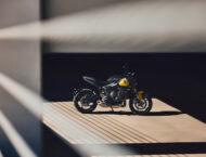 Triumph Trident 660 2025 35 Triumph Trident 660 2025 estaticas 3