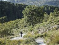 Prueba Can-Am Pulse y Origin 2025: diversión silenciosa 70 can am origin 2025 3