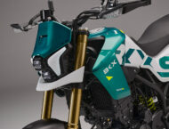 Benelli BKX 300 S 2025 detalles5