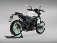 Benelli Naked Twin 500 2025 estudio1