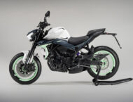 Benelli Naked Twin 500 2025 estudio5
