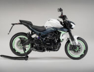 Benelli Naked Twin 500 2025 estudio6