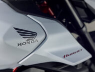 Honda CB750 Hornet 202567