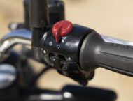 Royal Enfield Bear 650 2025 33 royal enfield bear 650 2025 (27)