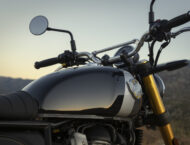 Royal Enfield Bear 650 2025 17 royal enfield bear 650 2025 (43)