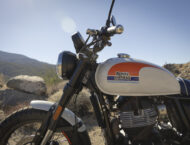 Royal Enfield Bear 650 2025 13 royal enfield bear 650 2025 (47)