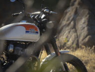 Royal Enfield Bear 650 2025 52 royal enfield bear 650 2025 (8)