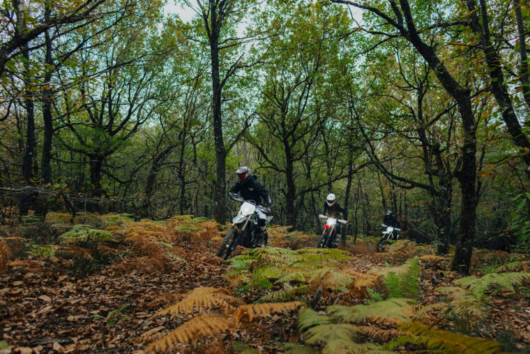 Stark-Varg-EX-2025-accion3