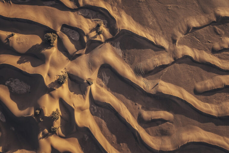 africa-eco-race-2025-calendario-categorias-motos (26)