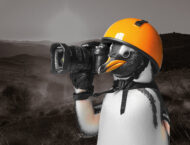 concurso continental pinguinos 2025