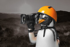 concurso continental pinguinos 2025