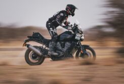 joan pedrero africa eco race harley davidson pan america (1)