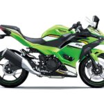 EICMA 2023 - Todas las motos 2024 del salón de Milán 53 Kawasaki Ninja 500