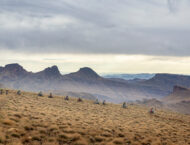 Africa Twin Epic Tour 2024E223