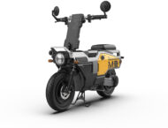 Felo M1 2025 estudio colores1